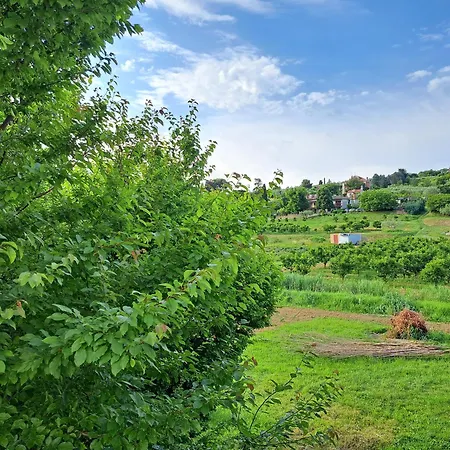 Appartement Apartmaji Strunjan *